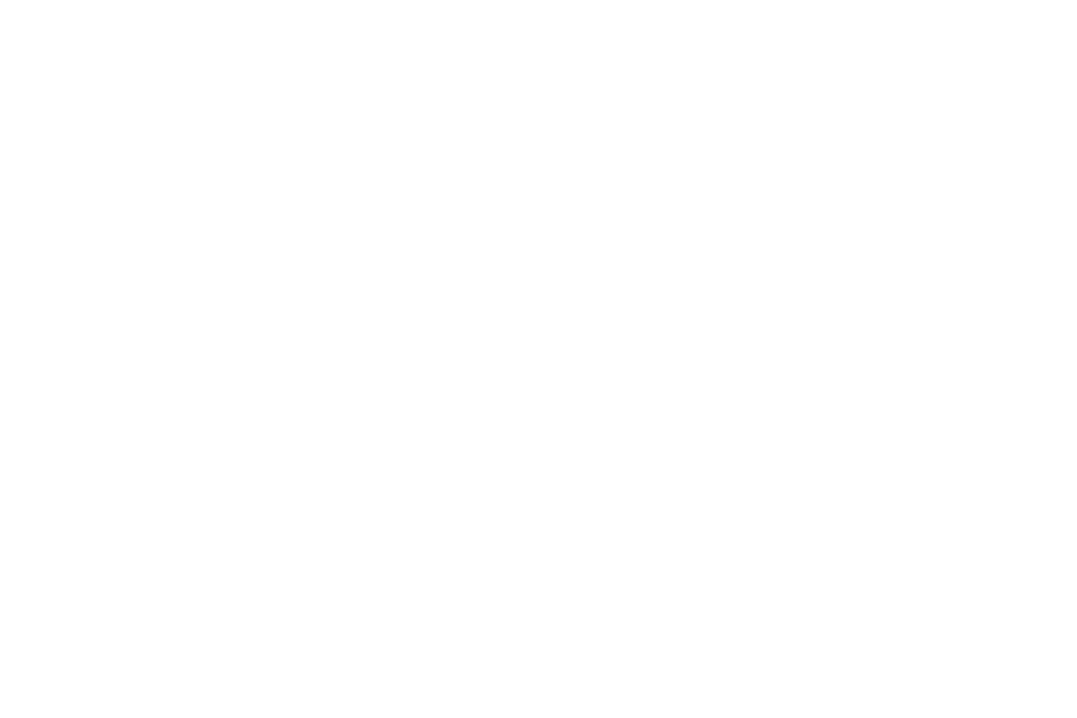 2 ANTIVIBRANTI METALLICI 8