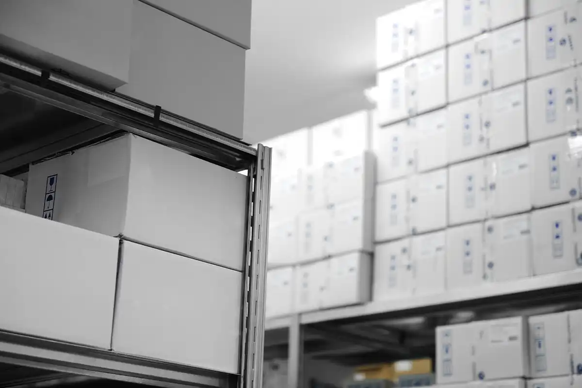 LOGISTICA
